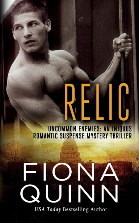Buch Relic Fiona Quinn