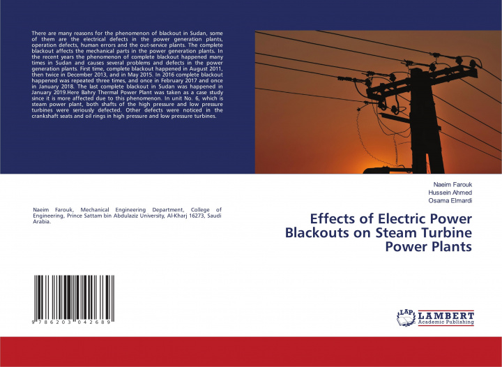 Kniha Effects of Electric Power Blackouts on Steam Turbine Power Plants Hussein Ahmed