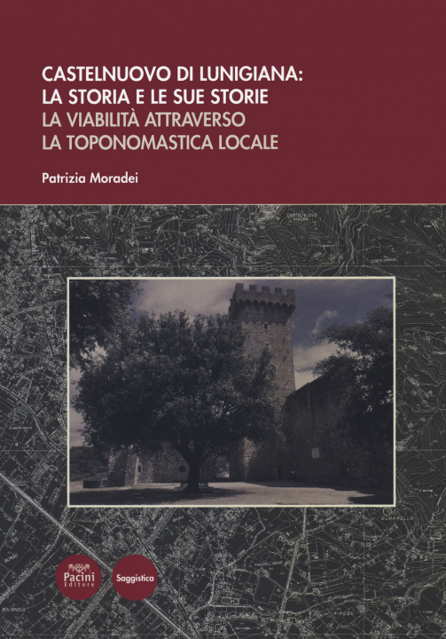 Carte Castelnuovo di Lunigiana: la storia e le sue storie. La viabilità attraverso la toponomastica locale Patrizia Moradei