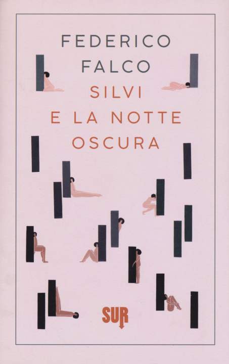 Kniha Silvi e la notte oscura Federico Falco