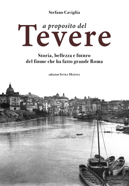 Kniha A proposito del Tevere. Storia, bellezza e futuro del fiume che ha fatto grande Roma Stefano Caviglia