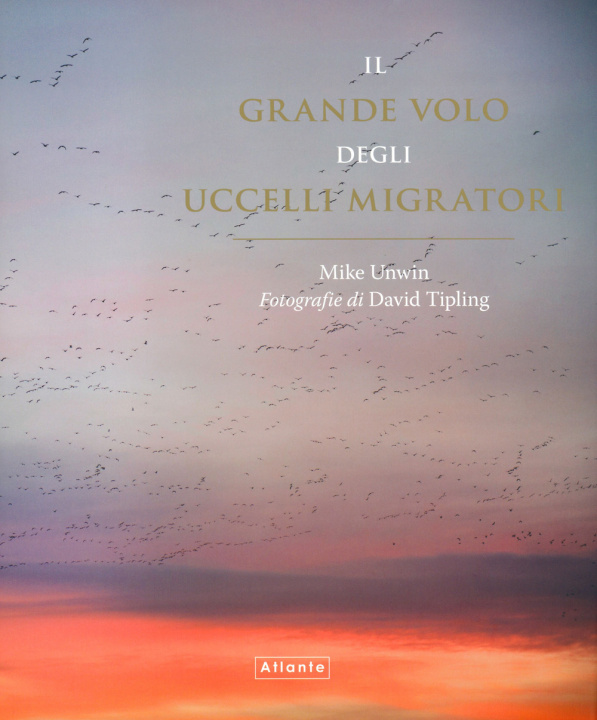 Könyv grande volo degli uccelli migratori Mike Unwin