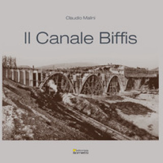 Книга Canale Biffis Claudio Malini