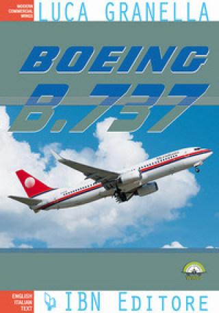 Carte Boeing B.737 Luca Granella
