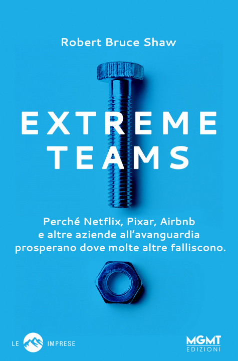 Kniha Extreme Teams. Perché Netflix, Pixar, Airbnb e altre aziende all’avanguardia prosperano dove molte altre falliscono Robert Bruce Shaw