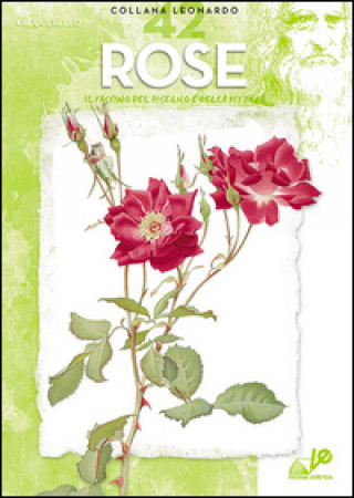 Carte Rose 