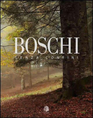 Könyv Boschi senza confini. Ediz. italiana e inglese Umberto Sarcinelli