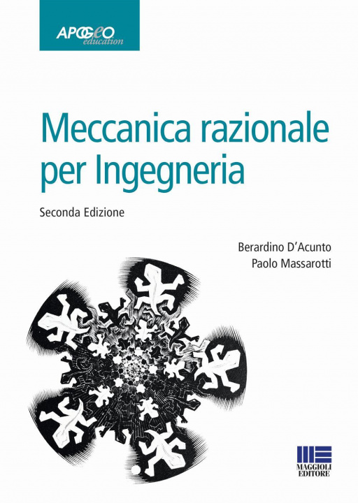 Kniha Meccanica razionale per ingegneria Berardino D'Acunto