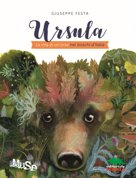 Kniha Ursula. La vita di un'orsa nei boschi d'Italia Giuseppe Festa