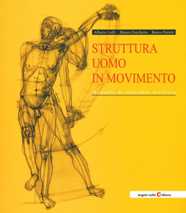 Книга Struttura uomo in movimento. Manuale di anatomia artistica Alberto Lolli