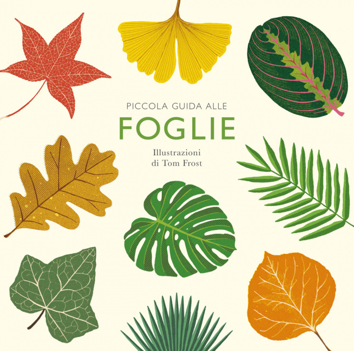 Книга Piccola guida alle foglie Alison Davies