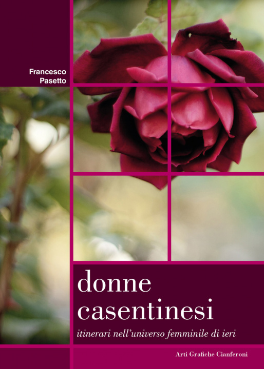 Kniha Donne casentinesi. Itinerari nell'universo femminile di ieri Francesco Pasetto