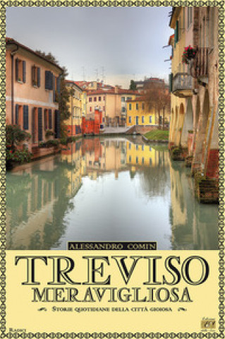 Könyv Treviso meravigliosa. Storie quotidiane della città gioiosa Alessandro Comin