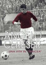 Könyv Angelo Cereser. Una vita in «Trincea» Paolo Ferrero
