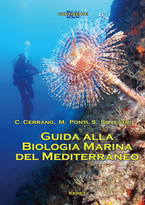 Kniha Guida alla biologia marina del Mediterraneo Carlo Cerrano