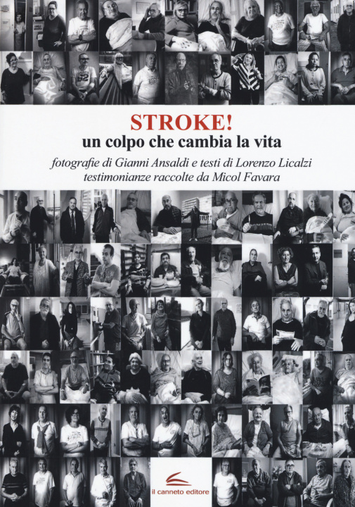 Kniha Stroke! Un colpo che cambia la vita Gianni Ansaldi