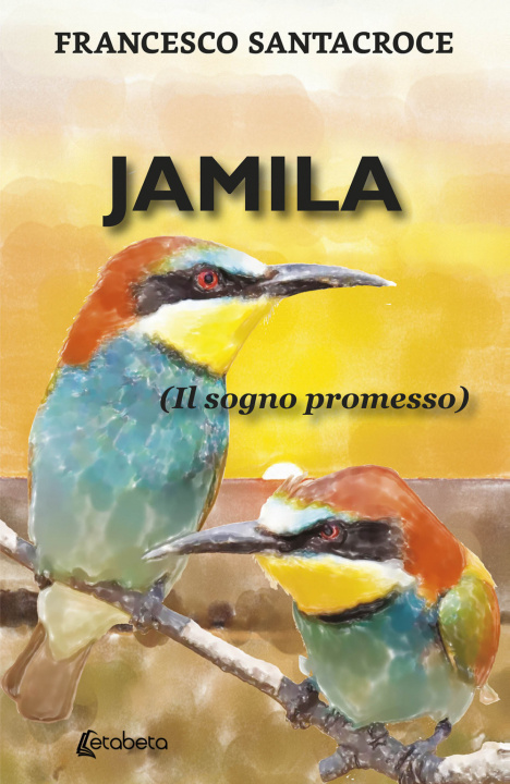 Könyv Jamila. (Il sogno promesso) Francesco Santacroce