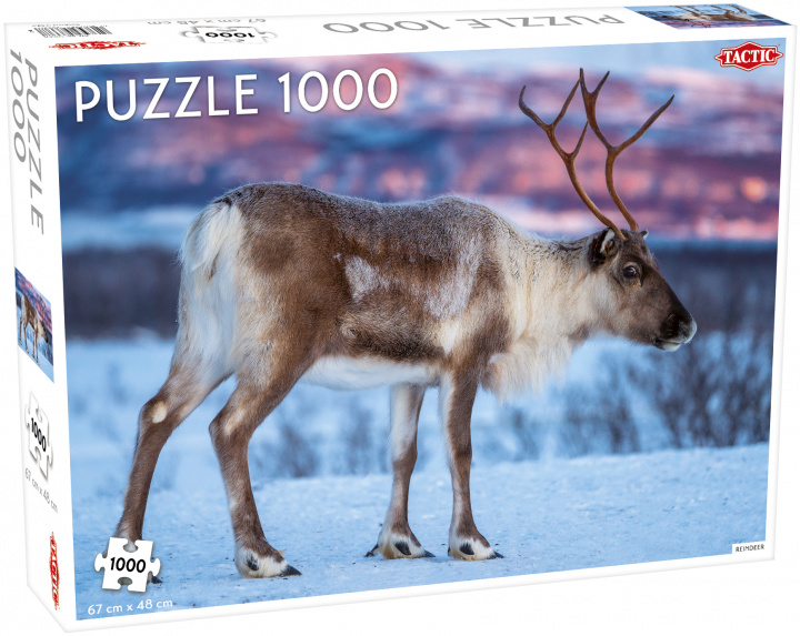 Kniha Puzzle Renifer 1000 
