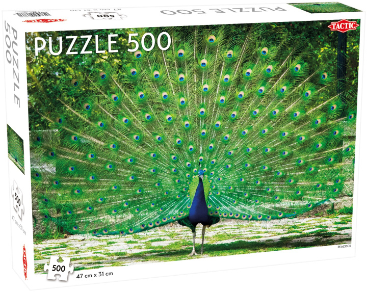 Könyv Puzzle Piękny Paw Peacock 500 