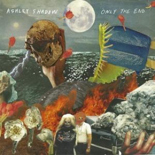 Аудио Only The End Ashley Shadow