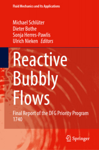 Buch Reactive Bubbly Flows Ulrich Nieken