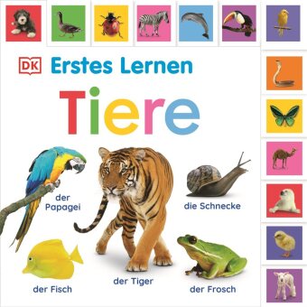 Kniha Erstes Lernen. Tiere 