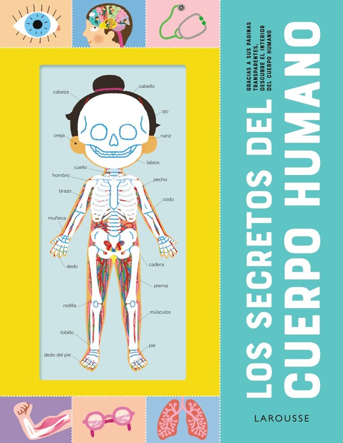 Kniha LOS SECRETOS DEL CUERPO HUMANO EDITIONS LAROUSSE