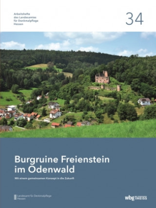 Kniha Burgruine Freienstein im Odenwald 