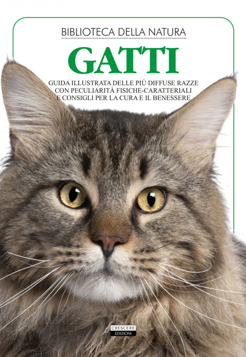 Book Gatti 