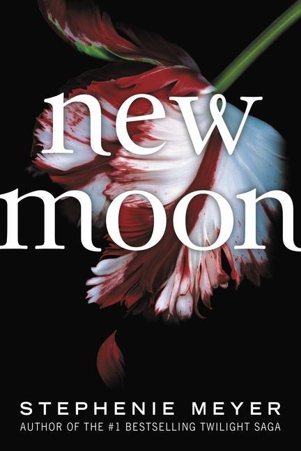 Kniha New Moon 