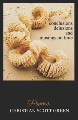 Kniha conclusions delusions and musings on time 