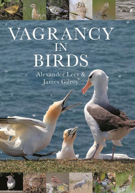 Könyv Vagrancy in Birds James Gilroy