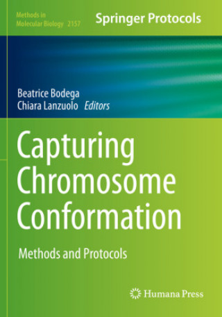 Knjiga Capturing Chromosome Conformation Chiara Lanzuolo