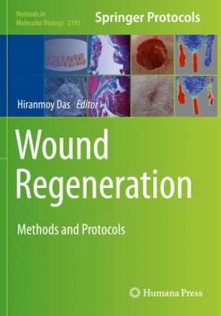 Kniha Wound Regeneration 
