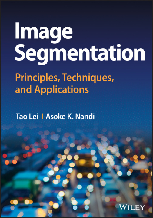 Knjiga Image Segmentation - Principles, Techniques, and Applications Asoke K. Nandi