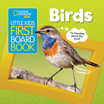 Книга Little Kids First Board Book: Birds 