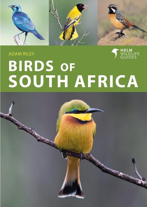 Book Birds of South Africa 