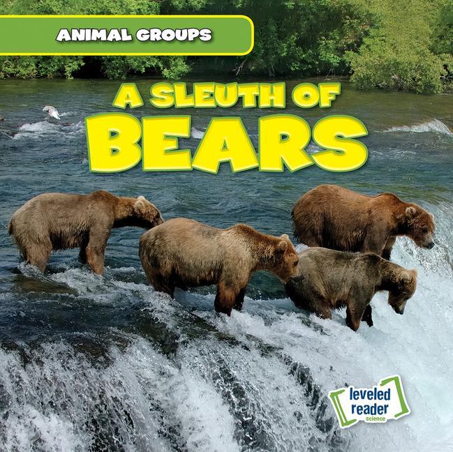 Книга A Sleuth of Bears Seth Lynch