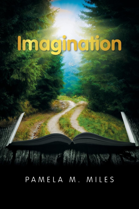 Knjiga Imagination Pamela M. Miles