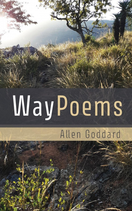 Boek Waypoems Allen Goddard