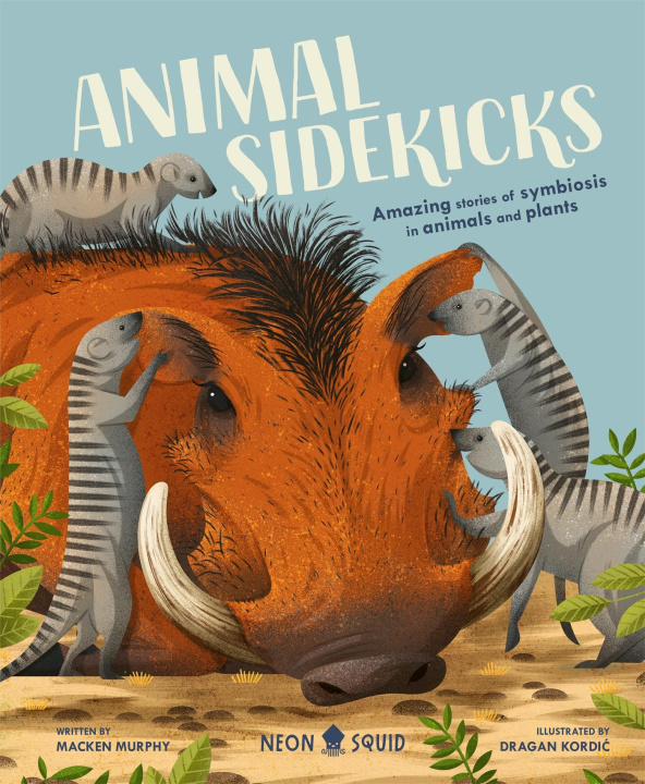 Książka Animal Sidekicks SQUID  NEON