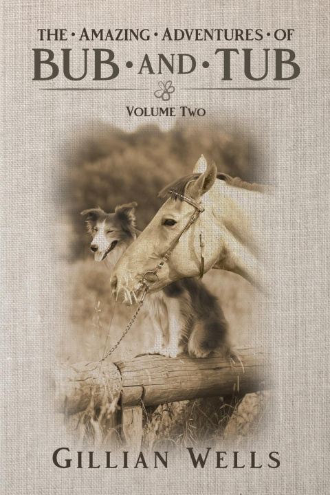 Buch Adventures of Bub & Tub Lacey Bellette