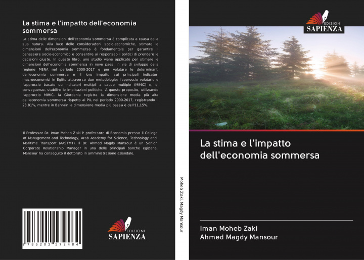 Buch La stima e l'impatto dell'economia sommersa Ahmed Magdy Mansour