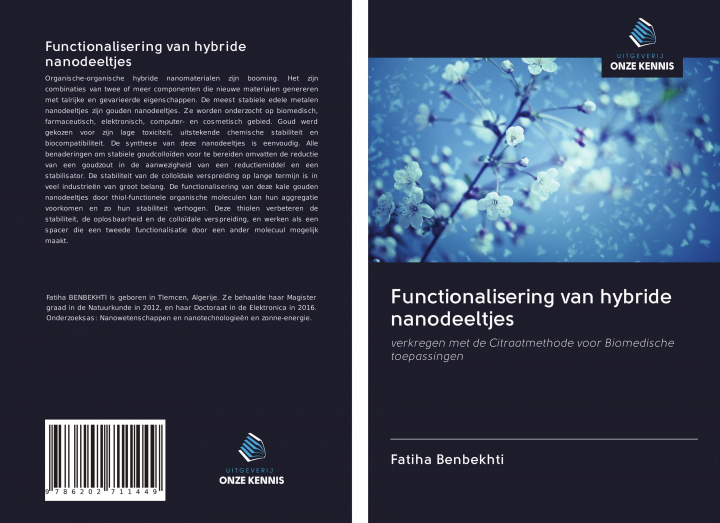 Könyv Functionalisering van hybride nanodeeltjes Fatiha Benbekhti