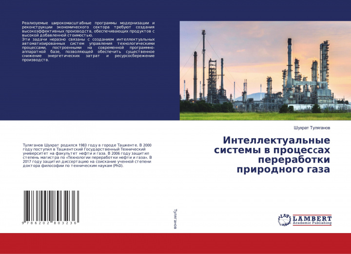 Buch Intellektual'nye sistemy w procescah pererabotki prirodnogo gaza Shuhrat Tulqganow