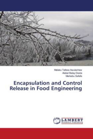 Knjiga Encapsulation and Control Release in Food Engineering Alebel Belay Desta
