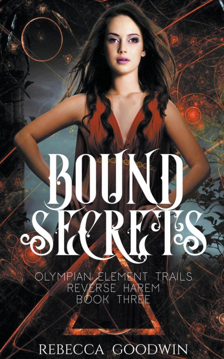 Boek Bound Secrets Rebecca Goodwin