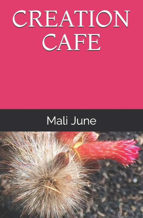 Knjiga Creation Cafe June Mali June