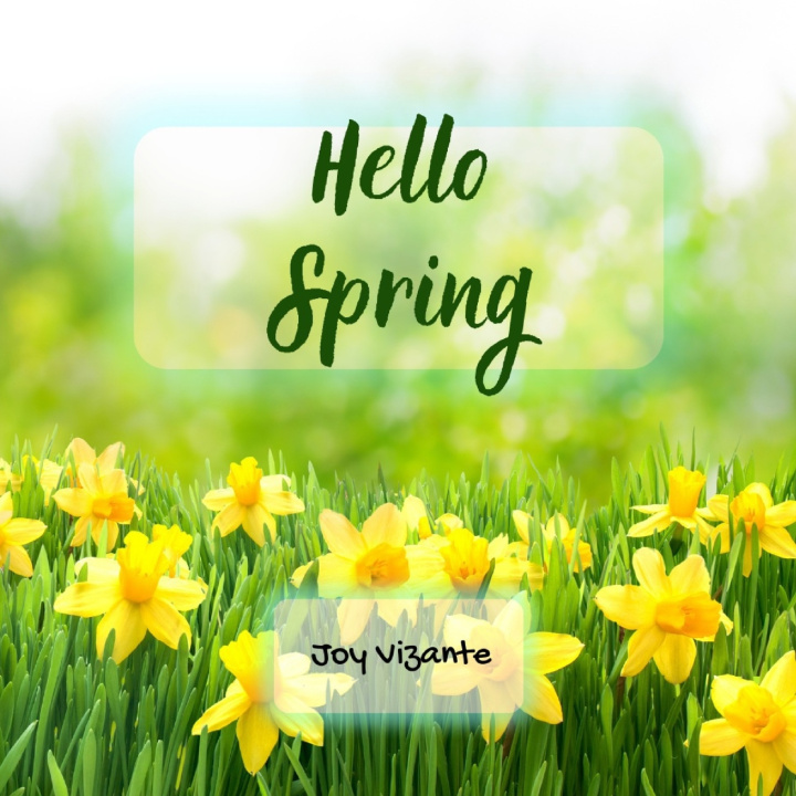 Knjiga Hello Spring Vizante Joy Vizante