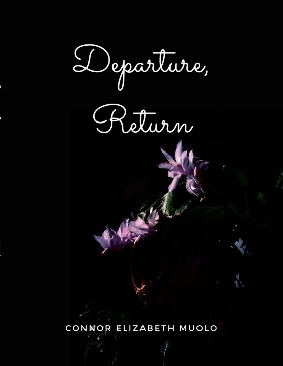 Buch Departure, Return Connor Muolo